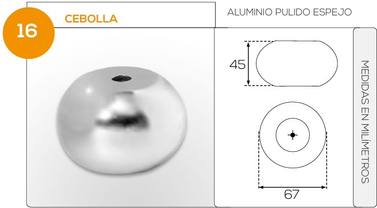 Cebolla